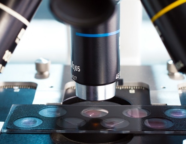 ����������� �� ������ ���� ���������� ������������ ������ ������� ��� ����������� �����������