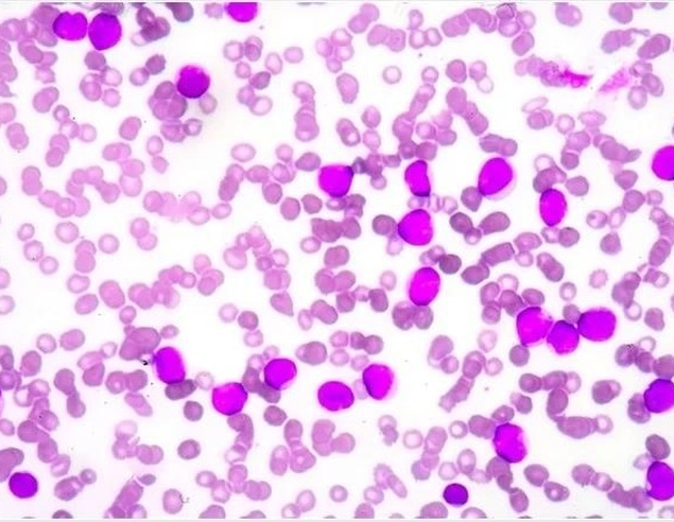 �������� � ������� ������� ������������� ������������� �������������� ��������