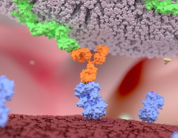 ��������� ���������� � ��������� ������� CAR-NK ����� ��������� ��������� � ������� ����