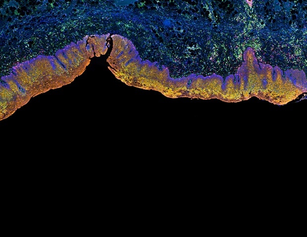 ��������� ��������������� ������������ ������������� ����������� � ����������� ���������� � �����