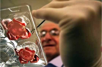 ���������� ������ ������ ���������� �������� ����, ��������� ��� ���������