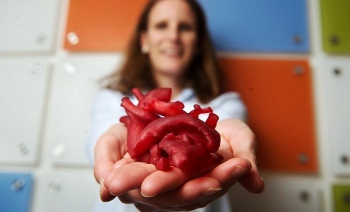 3D ���������� � ������� �����