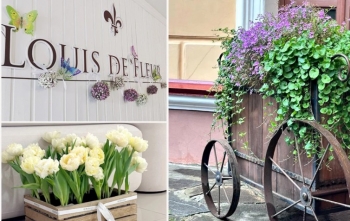 ����������� ���������� ������������ �������� � ������� ���� �� ����