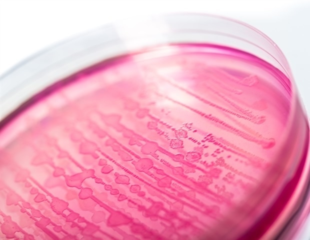 Исследование: Устойчивость к антибиотикам растет у E. coli, продуцирующей шига-токсин