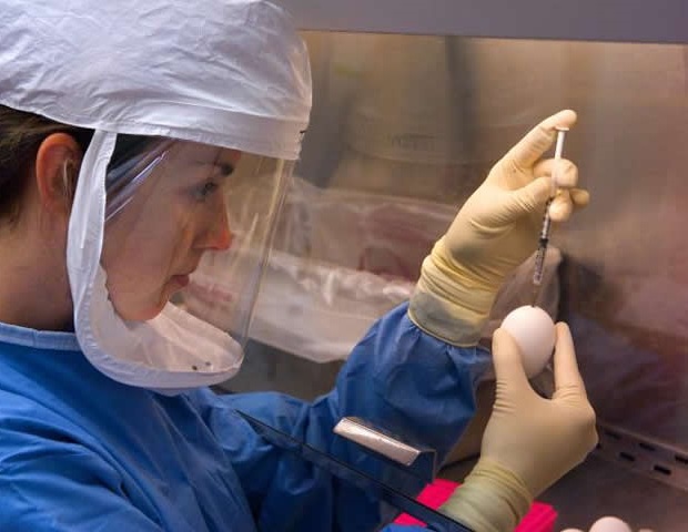Социальные сравнения могут подорвать счастье и удовлетворенность жизнью