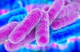 Дезинфицирующие средства, используемые при очистке воды, могут повлиять на заболеваемость болезнью легионеров
