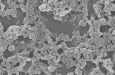 CIC biomaGUNE разрабатывает наночастицы легочного сурфактанта для лечения заболеваний легких