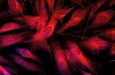 Оптическая визуализация выявляет метаболическую активность отдельных иммунных клеток