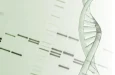 Новый метод машинного обучения обнаруживает скрытые эпигенетические закономерности