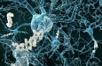 Новая исследовательская инициатива направлена ??на разработку инструмента скрининга сетчатки на болезнь Альцгеймера