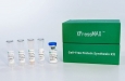 Sino Biological выпускает набор для синтеза бесклеточного белка XPressMAX™, ускоряющий разработку высокопроизводительных препаратов на основе антител на основе искусственного интеллекта