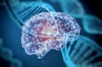 За ваш IQ ответит йод